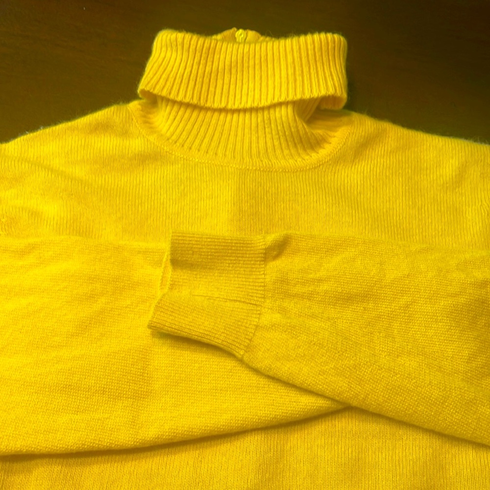 Ballantyne cashmere sweater-not sure of the size, but seems like a small.